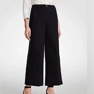 Ann Taylor Navy Blue Wide Leg Ankle Pant (16)